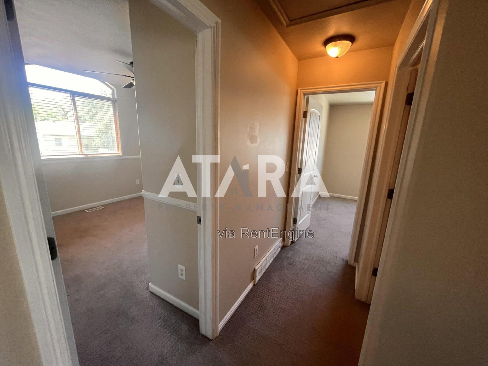 Gallery Image 19