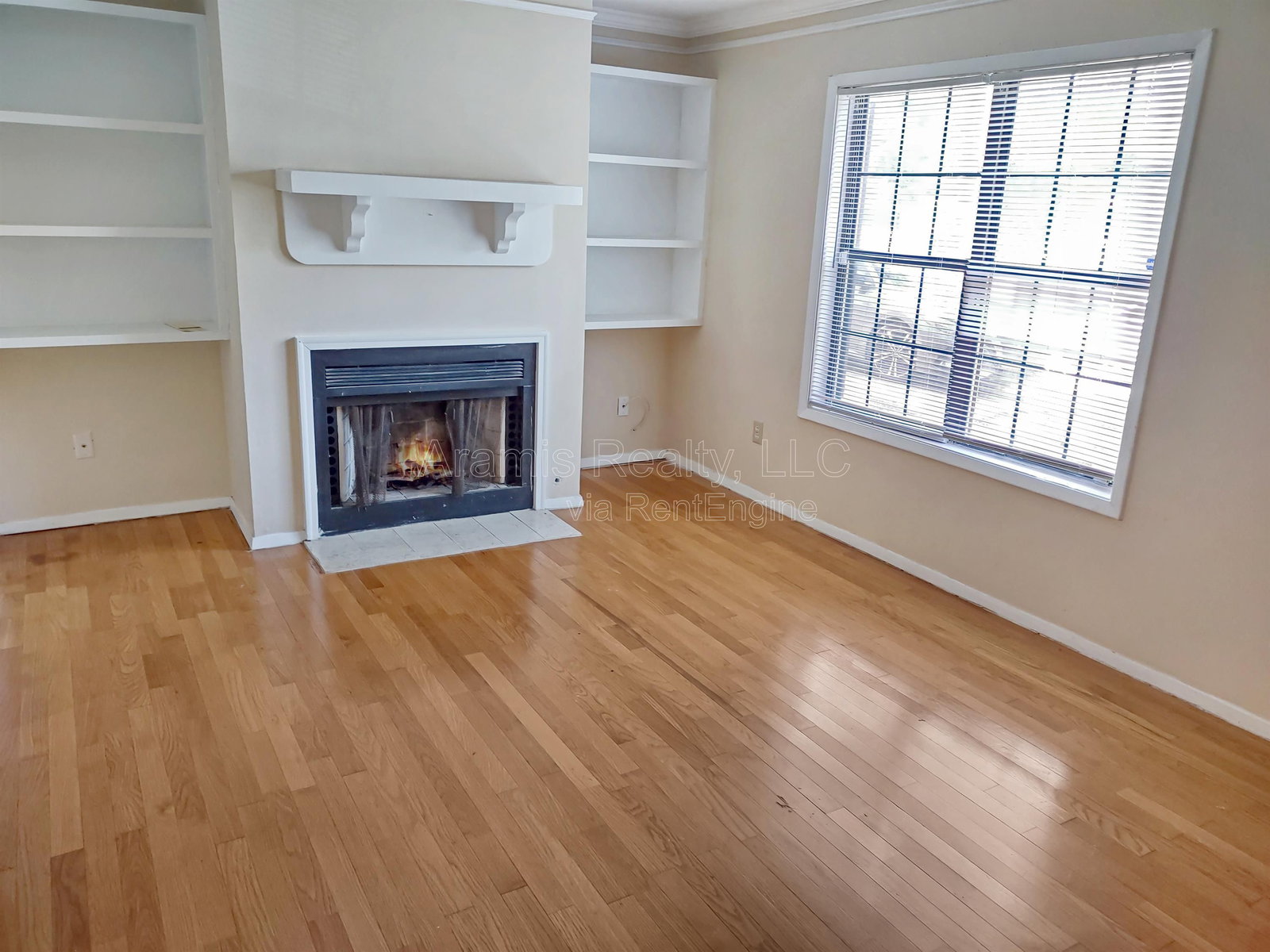 Gallery Image 8