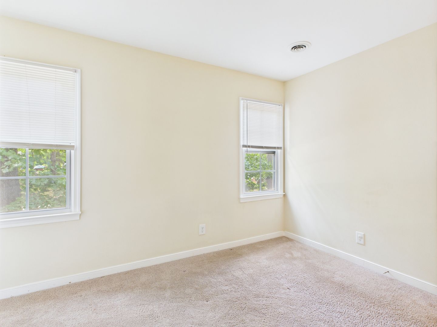 Gallery Image 52