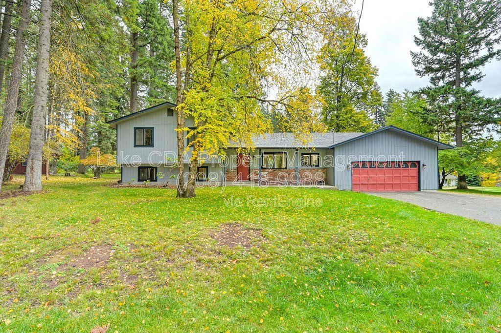 Gallery Image 0