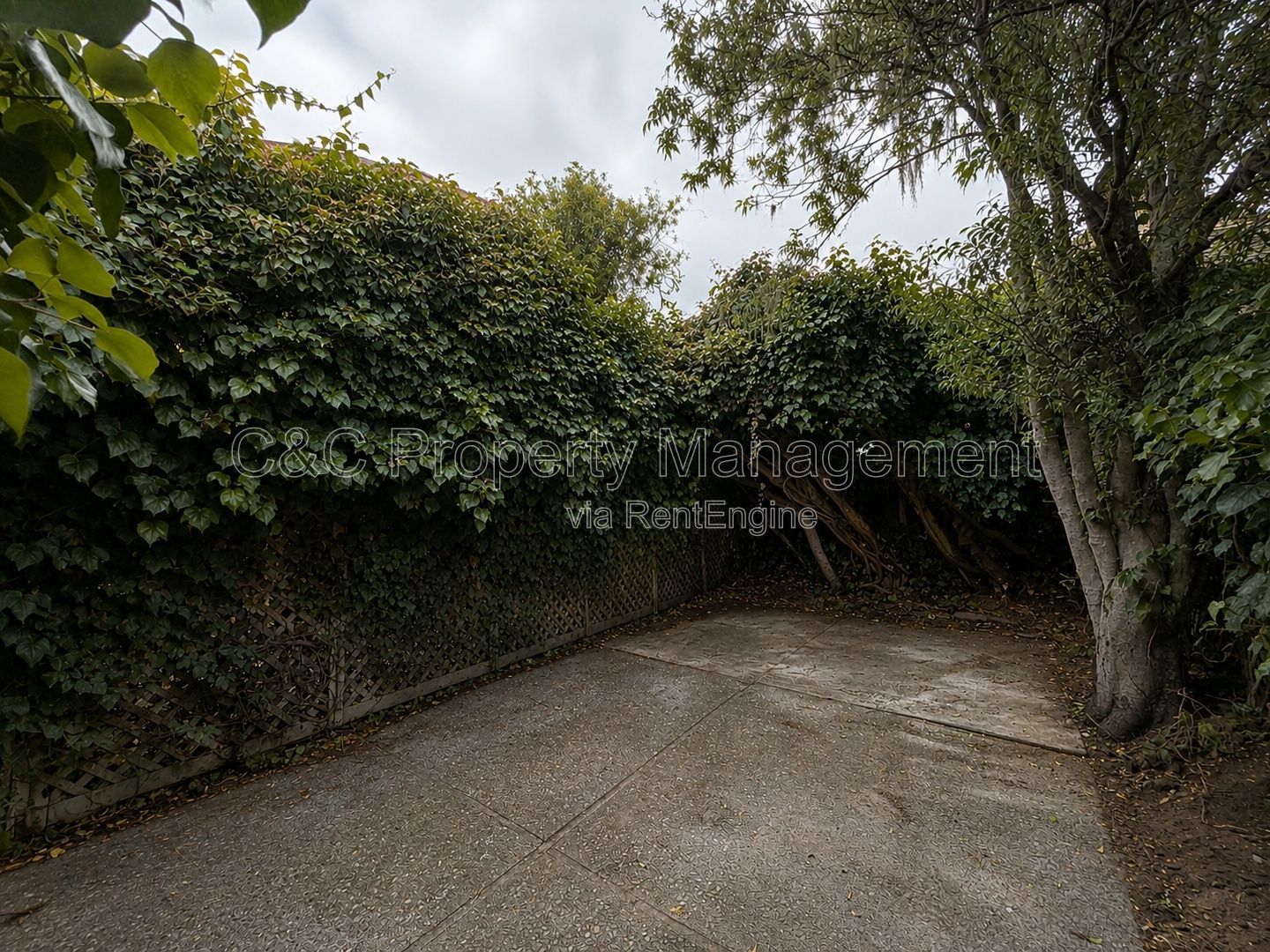 Gallery Image 14