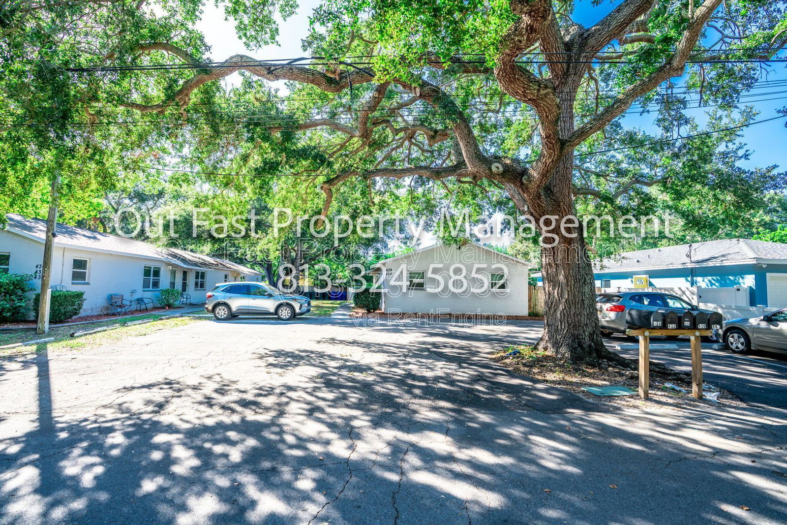 Gallery Image 38