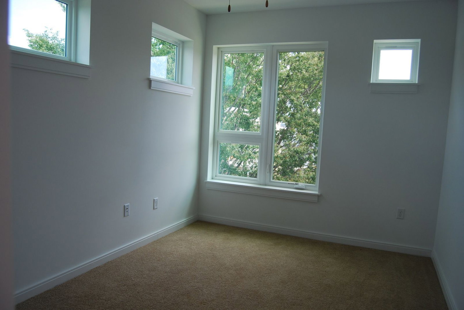 Gallery Image 20