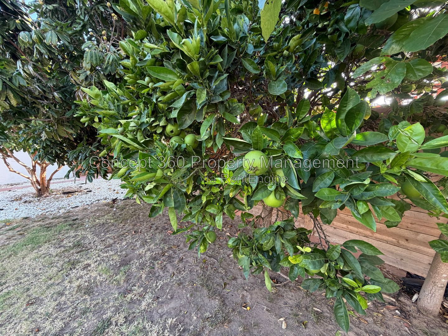 Gallery Image 47