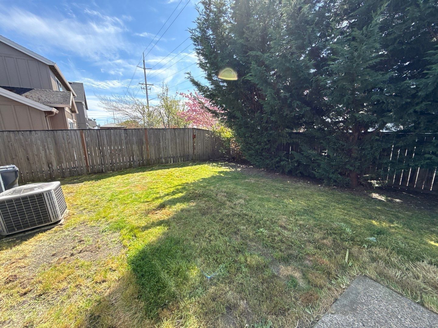 Gallery Image 49