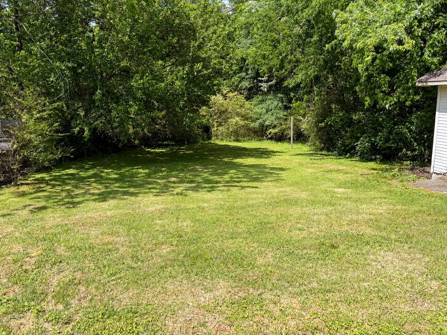 Gallery Image 20