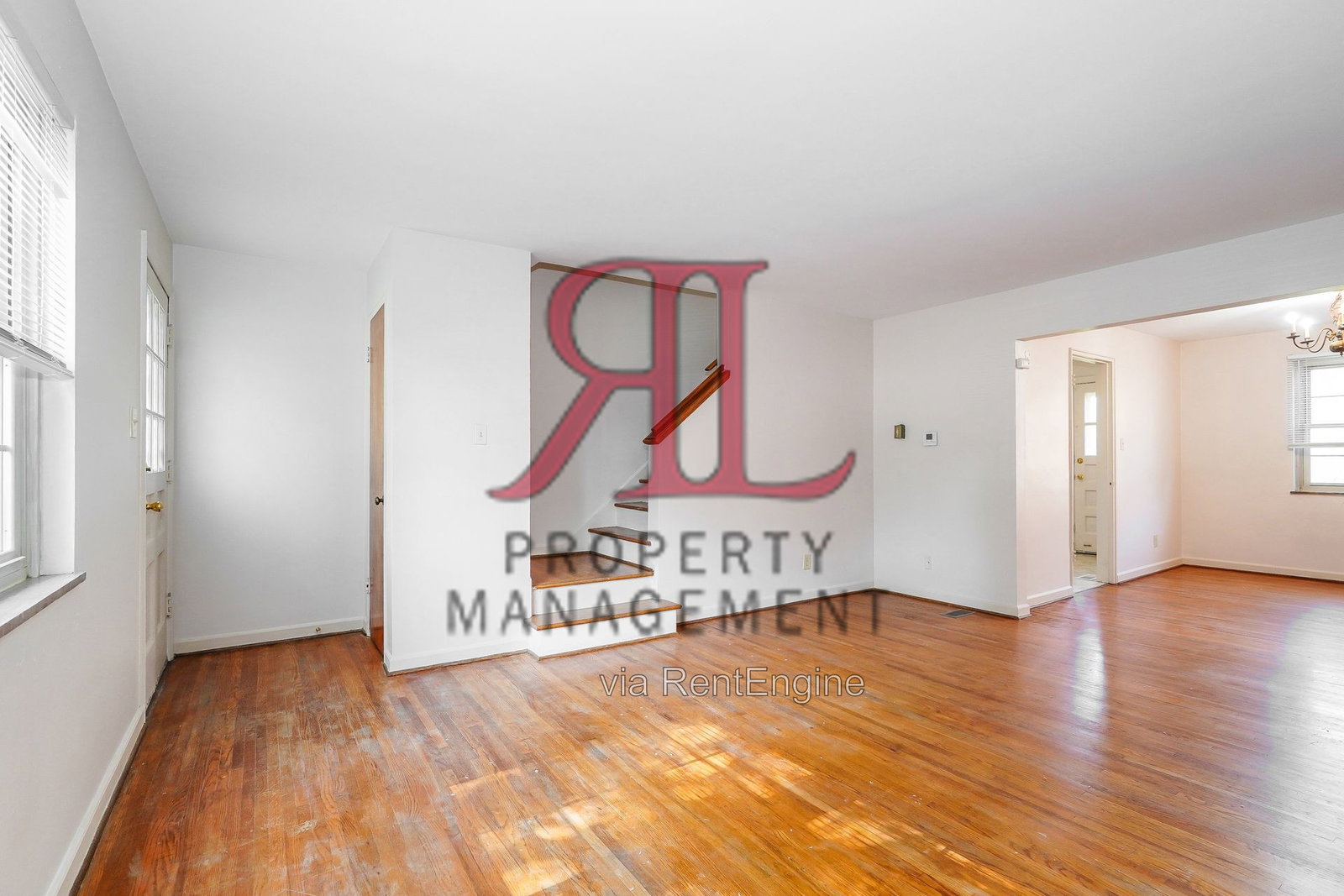 Gallery Image 7