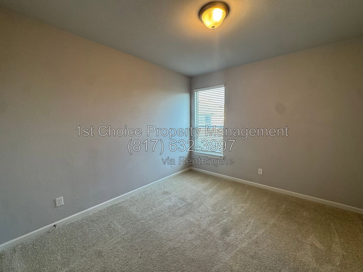 Gallery Image 69