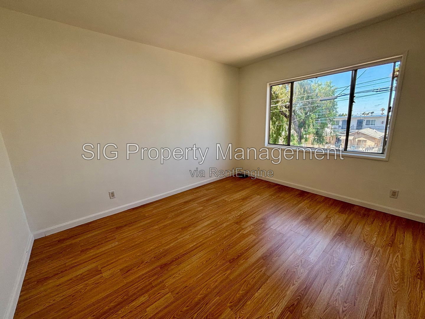 Gallery Image 9