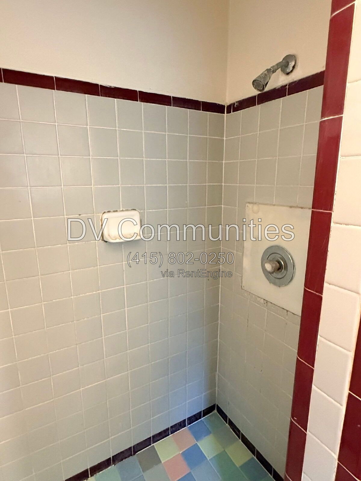 Gallery Image 14