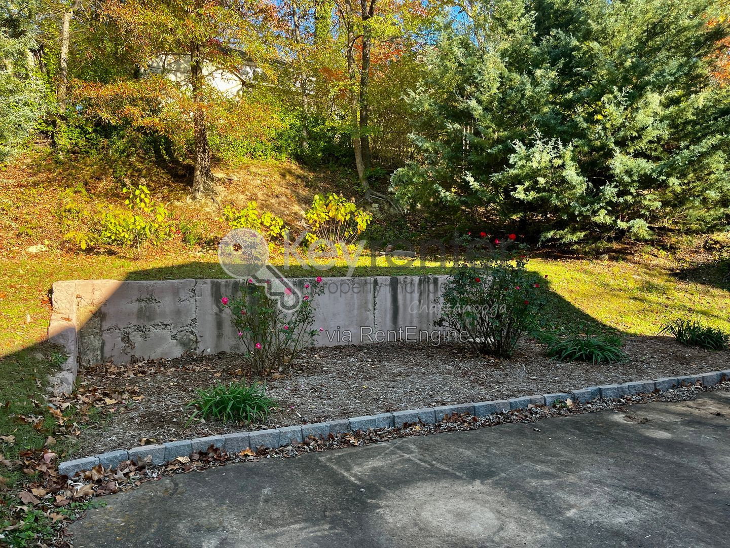 Gallery Image 19