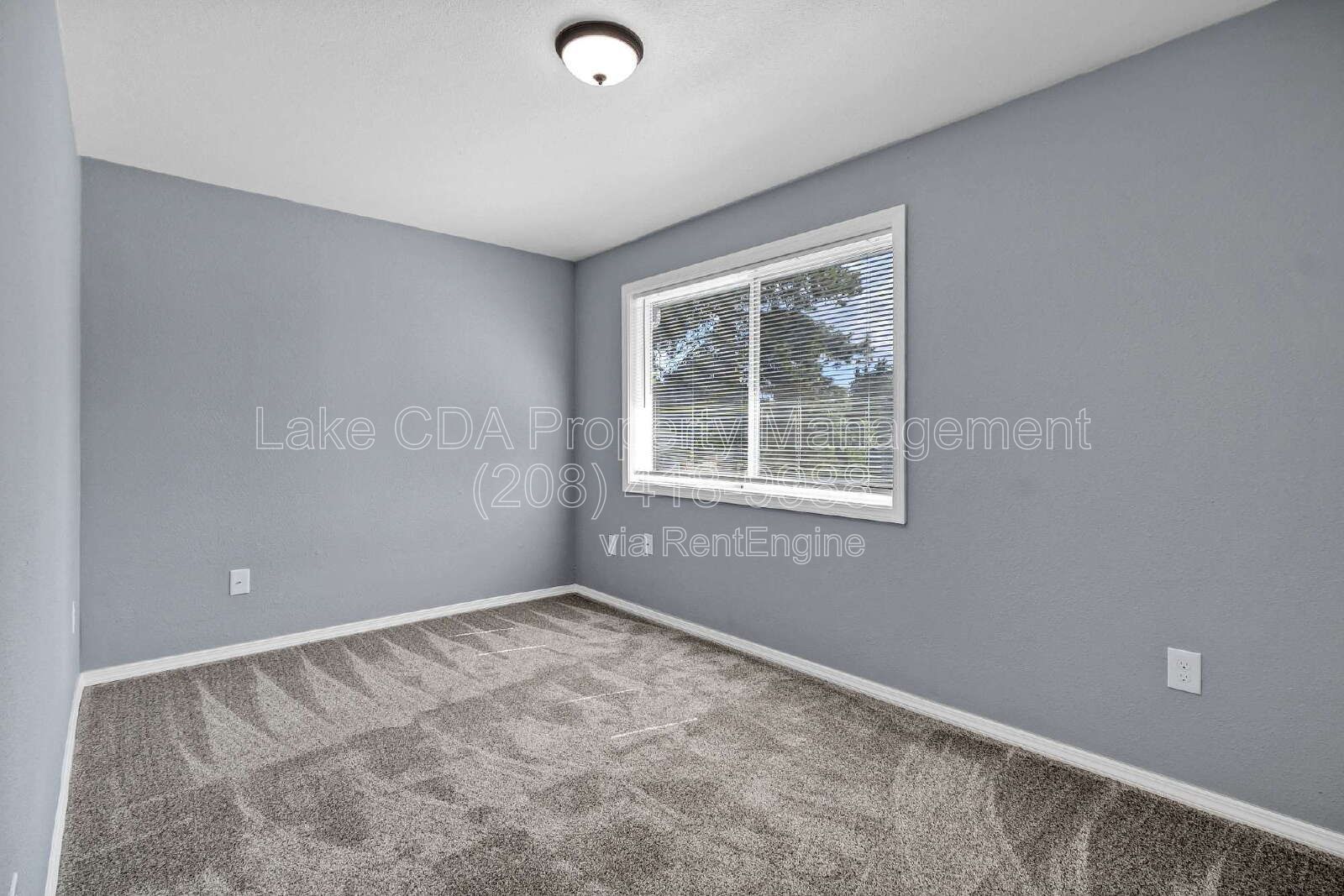 Gallery Image 19