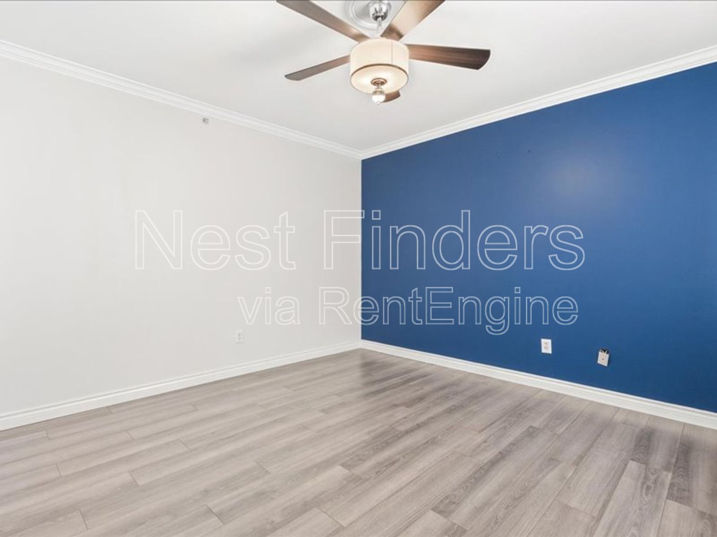 Gallery Image 25
