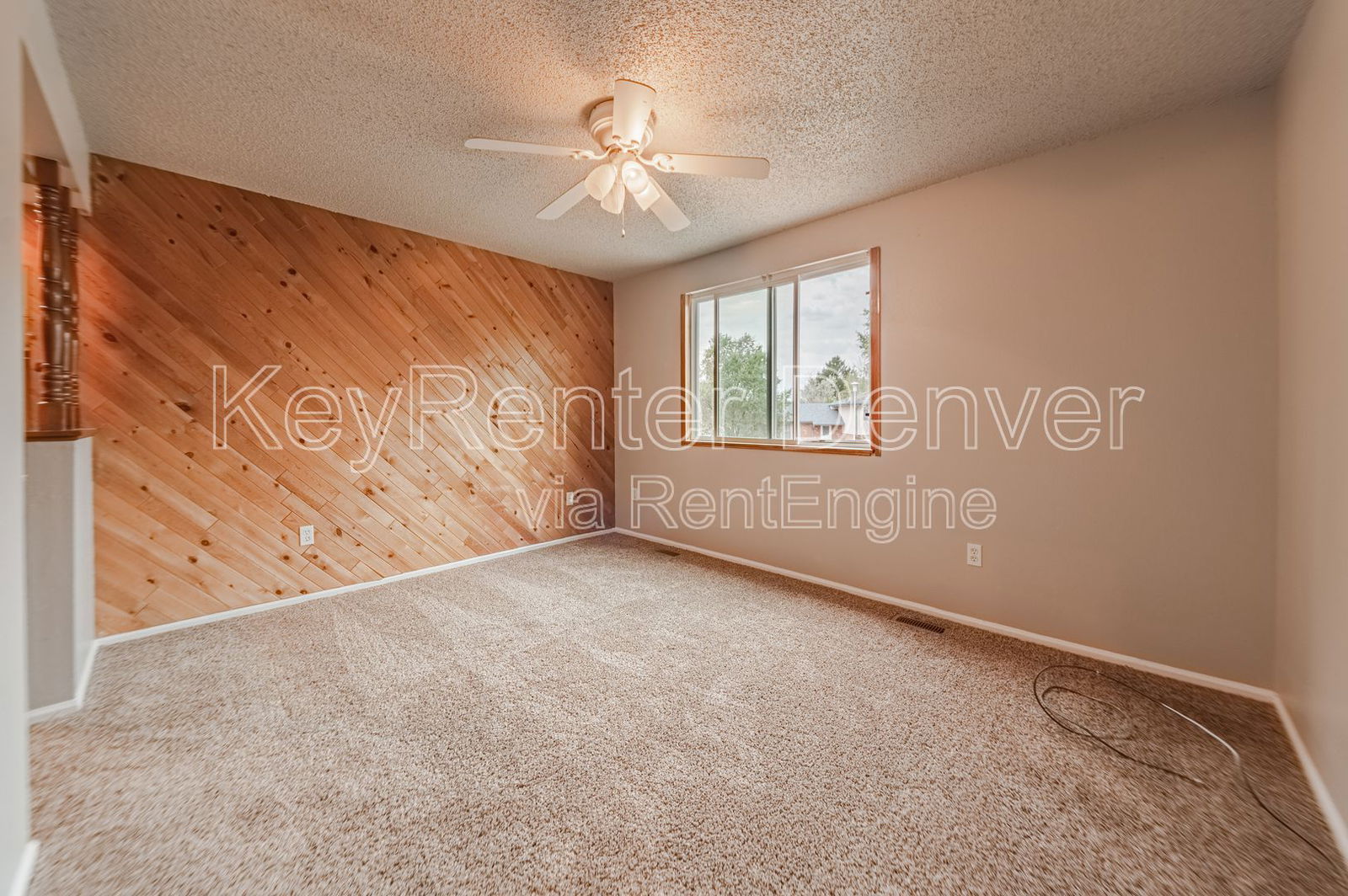 Gallery Image 31