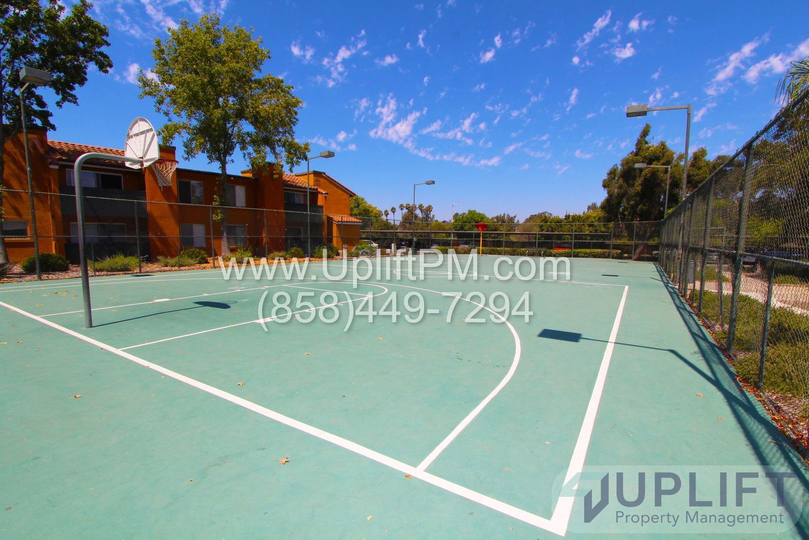 Gallery Image 13