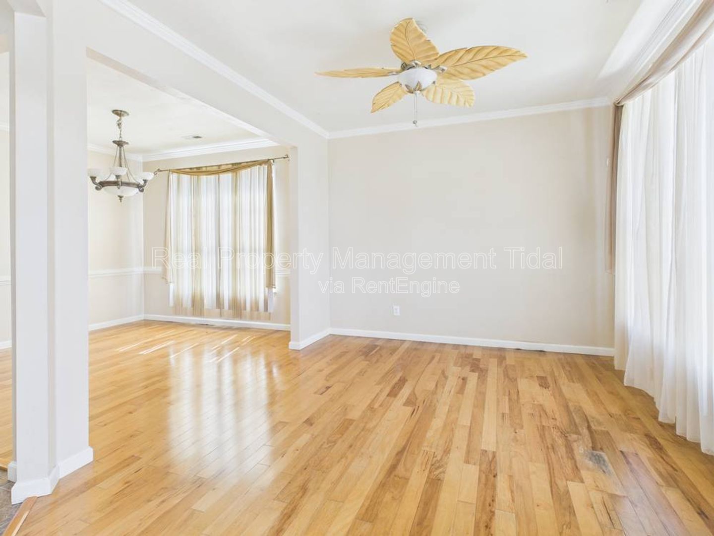 Gallery Image 7