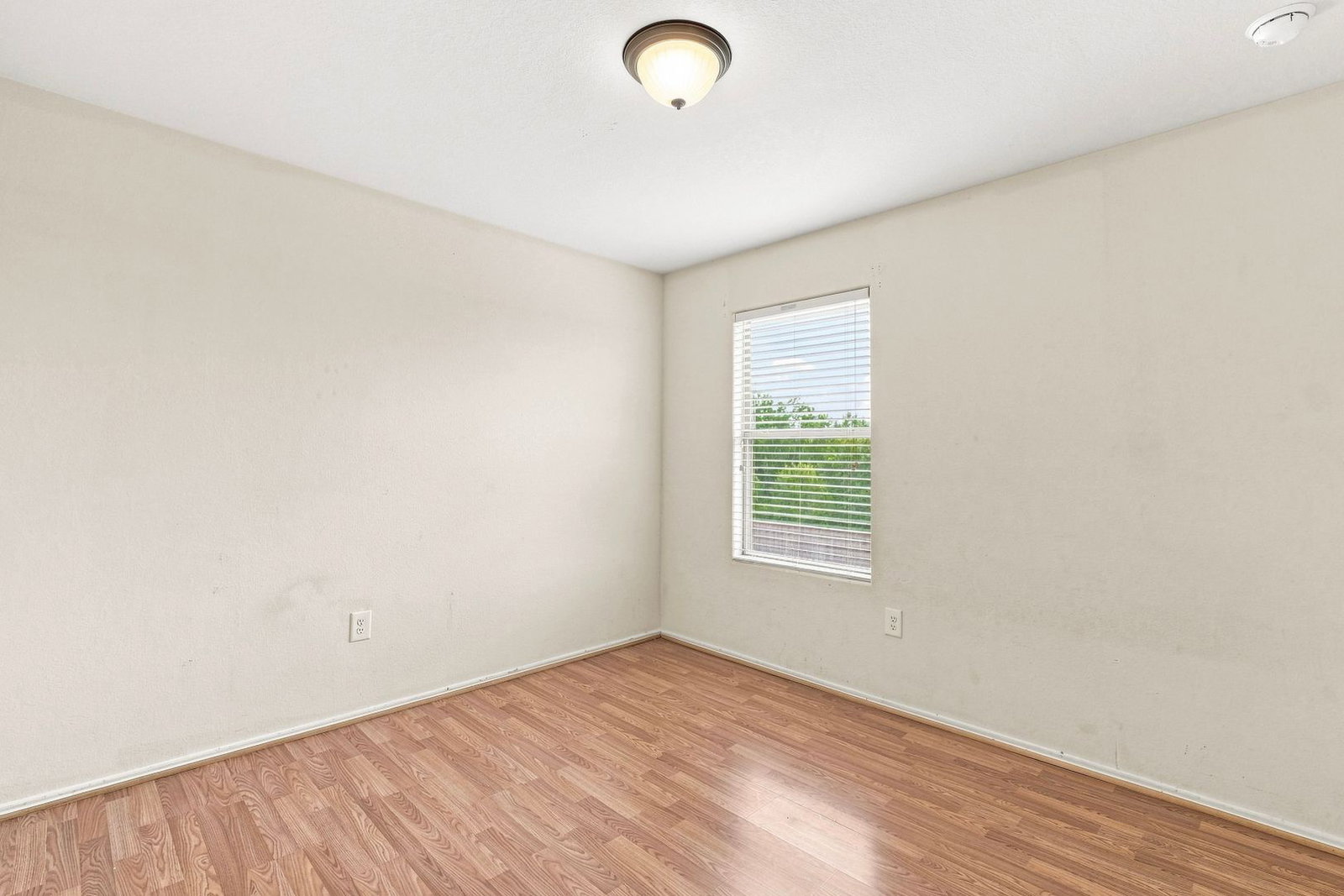 Gallery Image 19