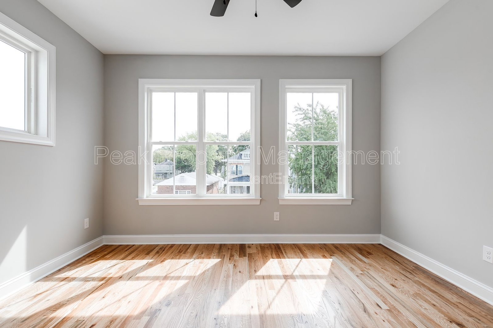Gallery Image 21