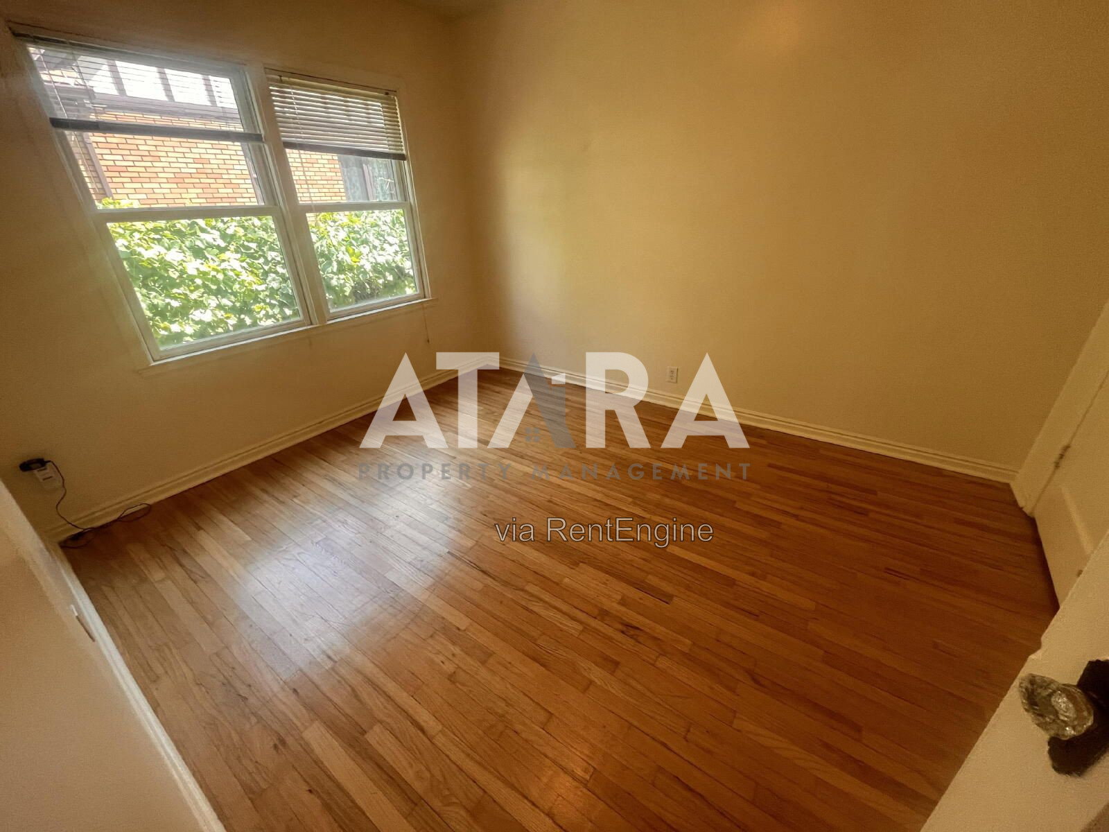 Gallery Image 16