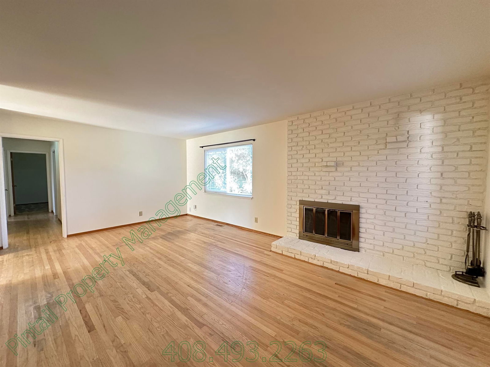 Gallery Image 11