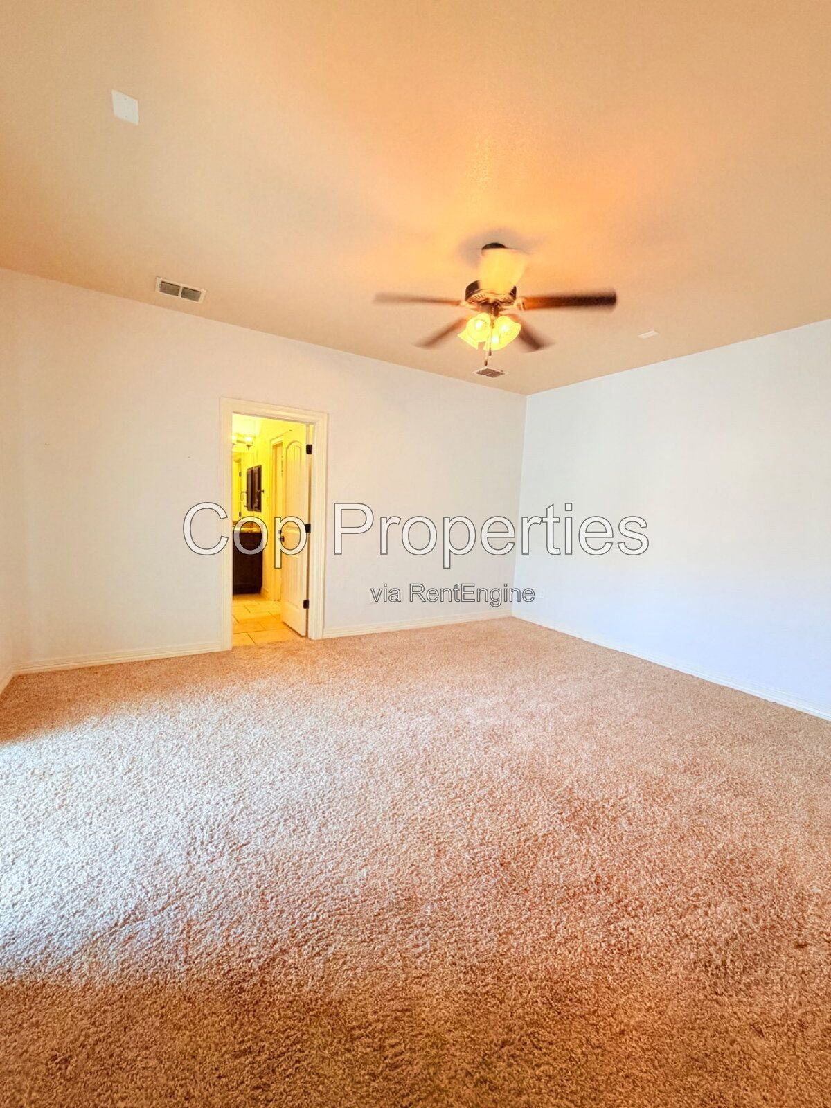 Gallery Image 38