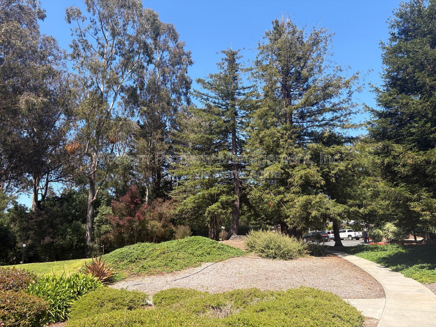 Gallery Image 19