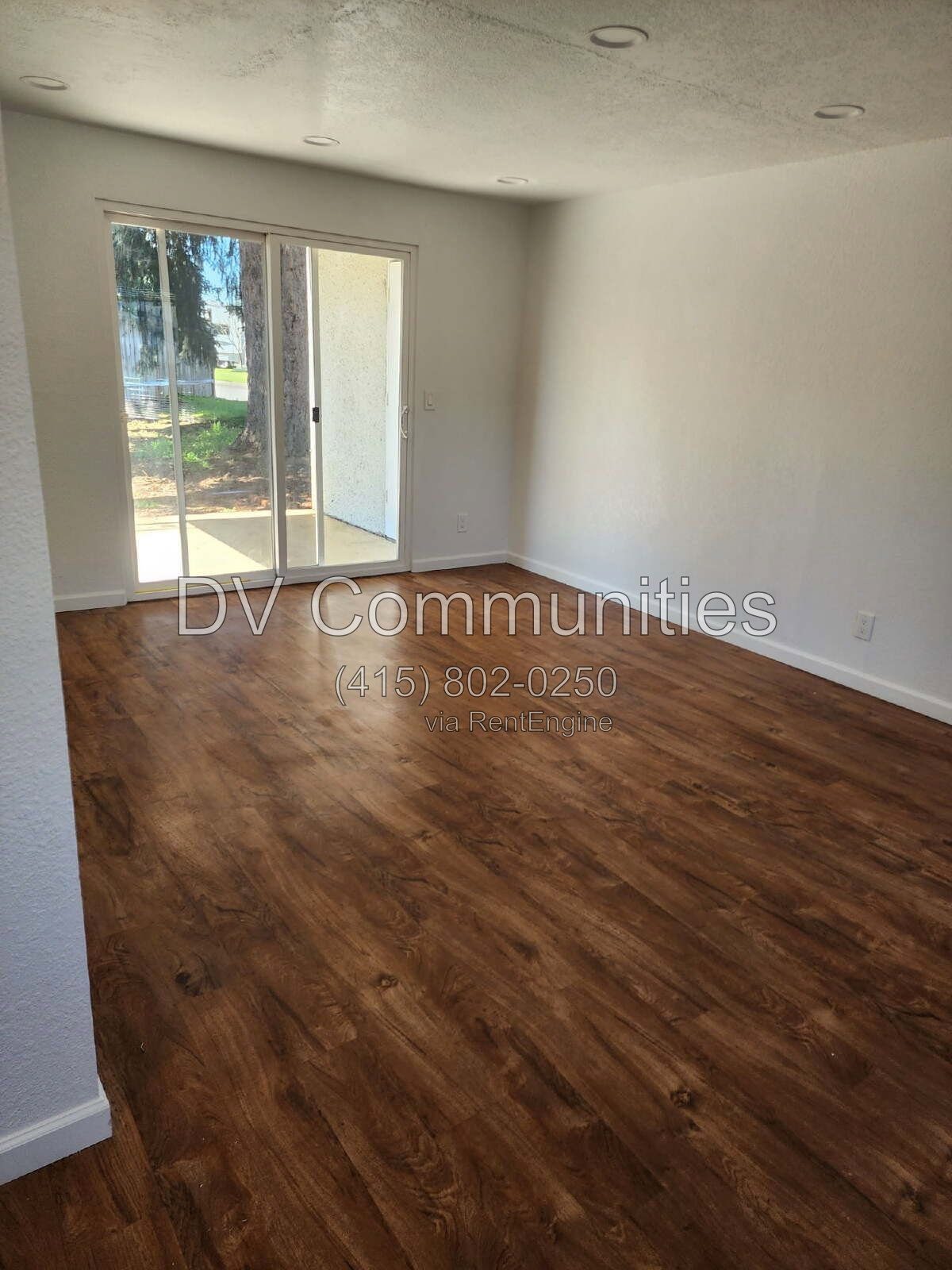 Gallery Image 0