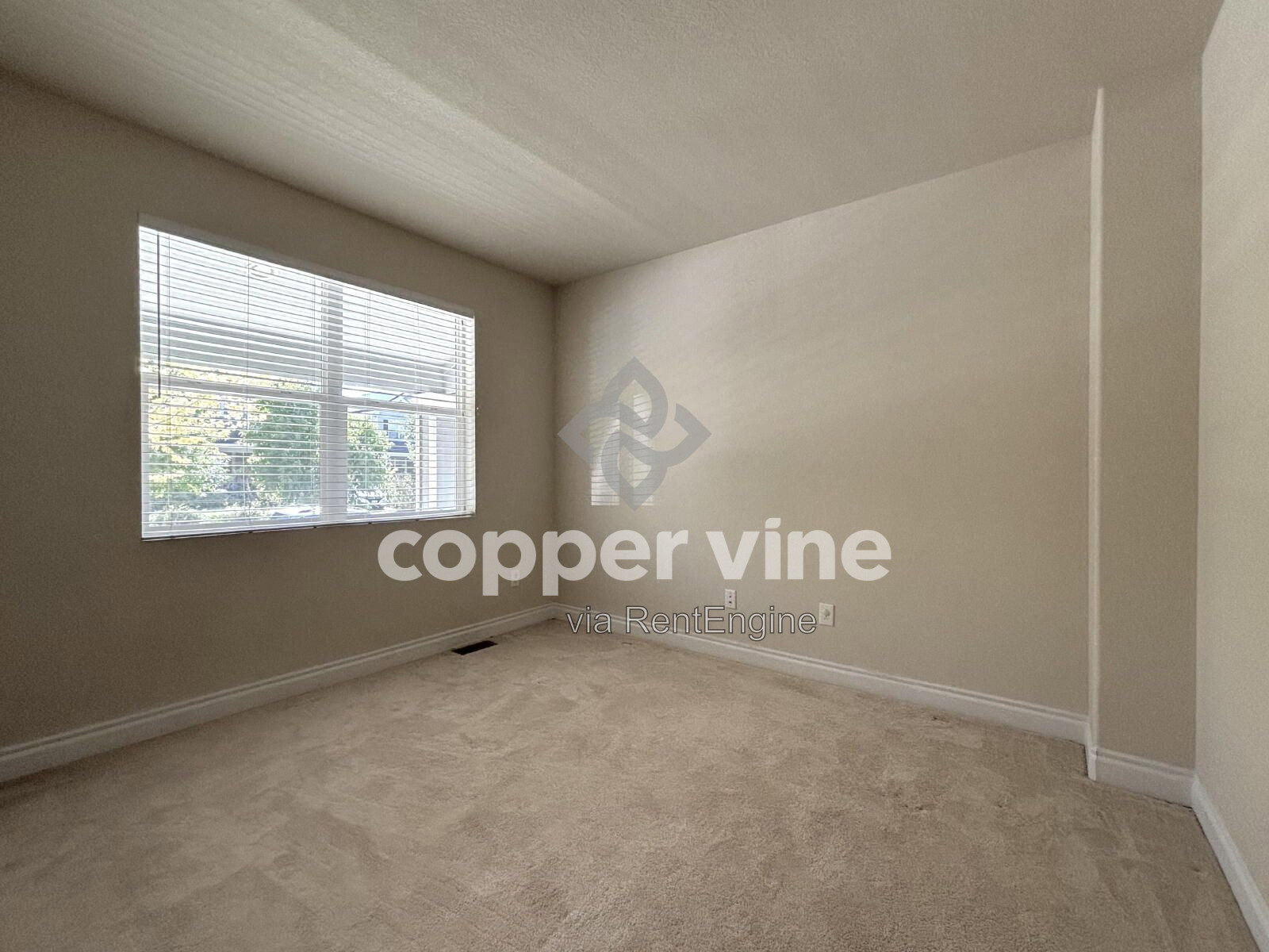 Gallery Image 19