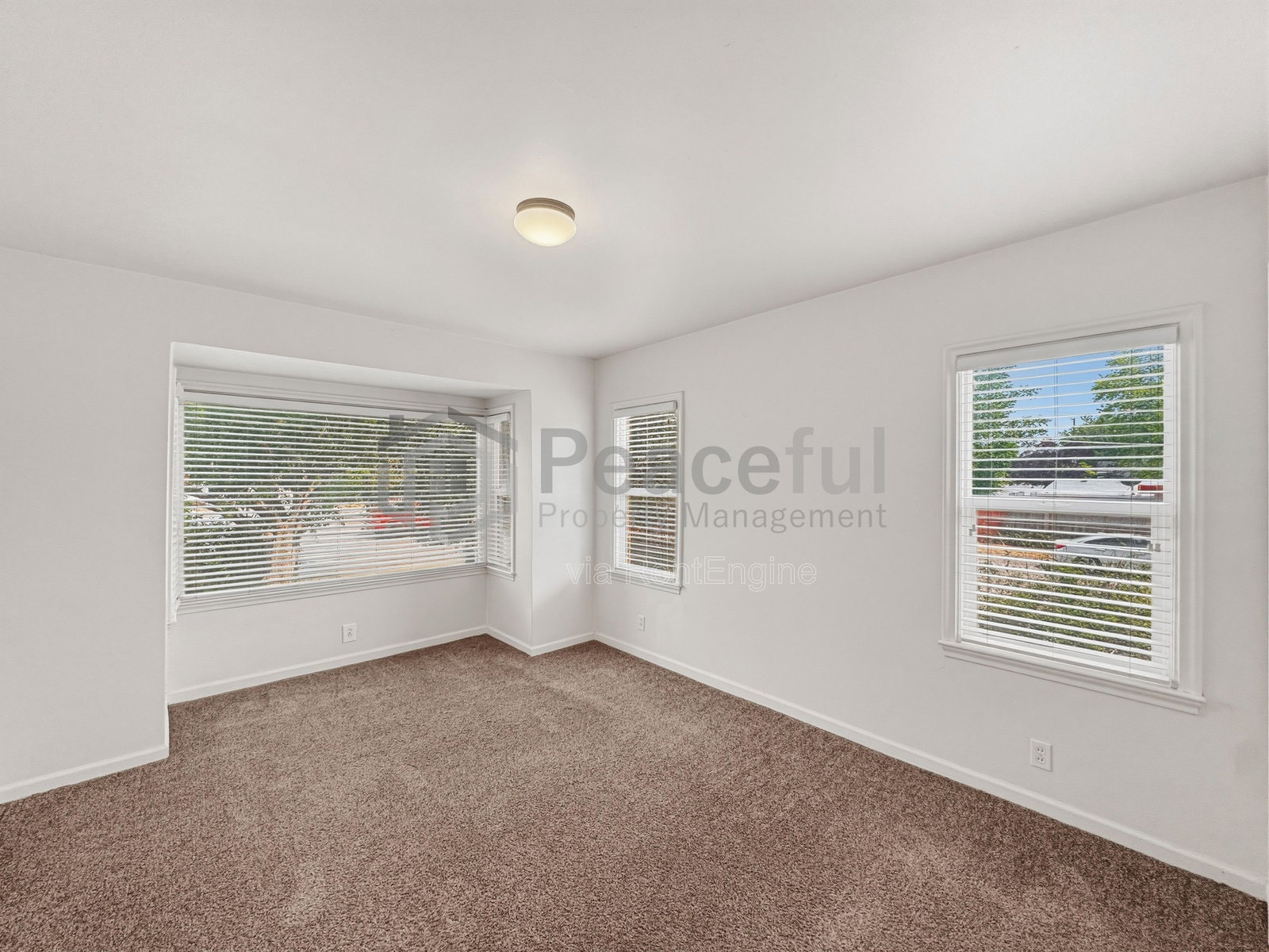 Gallery Image 18