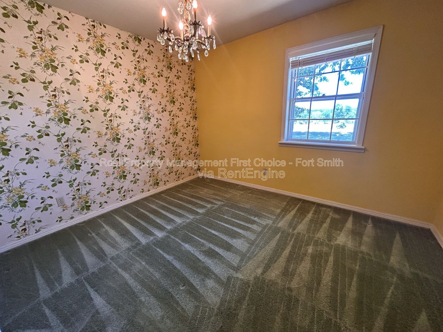 Gallery Image 47