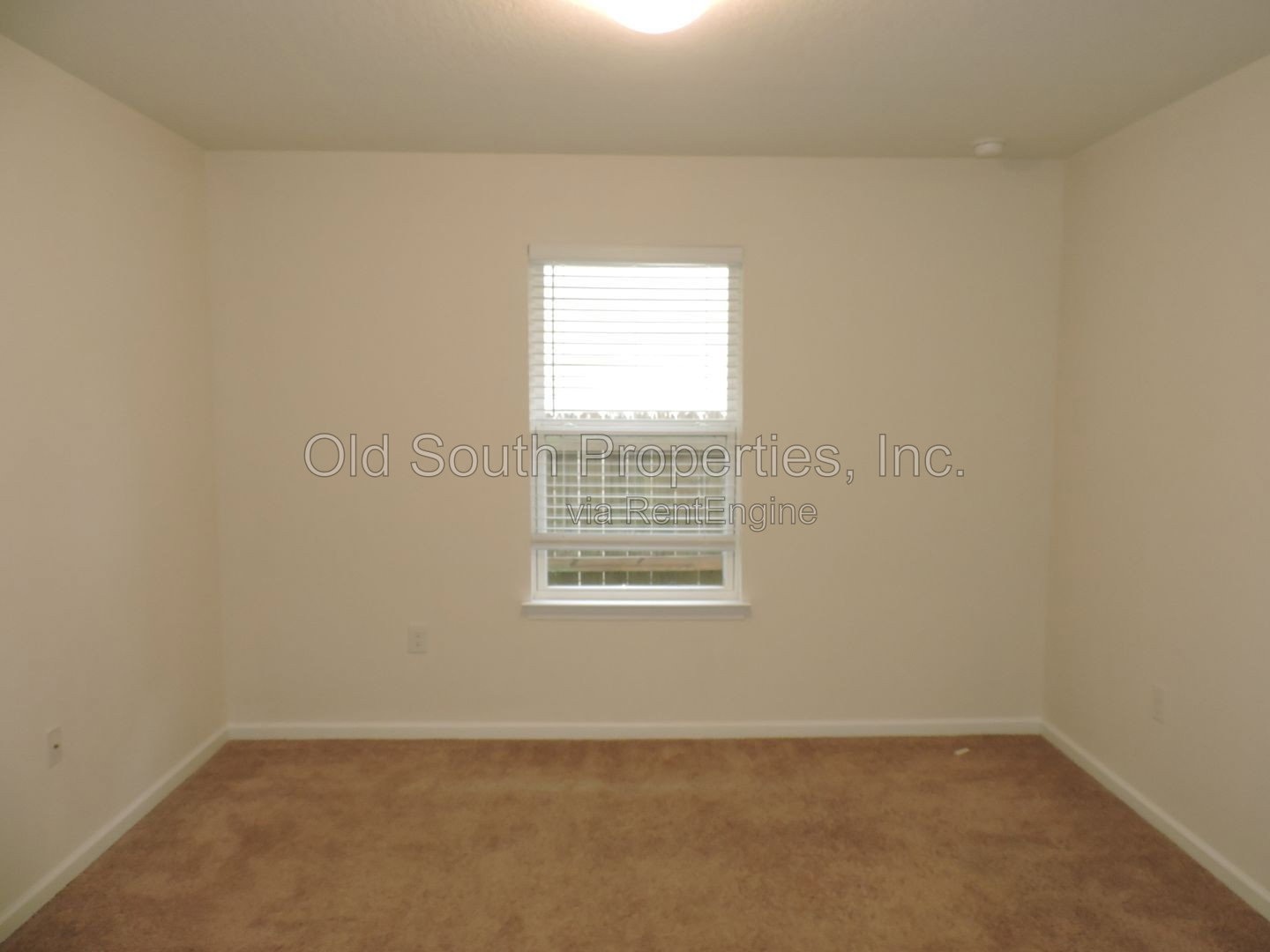 Gallery Image 17