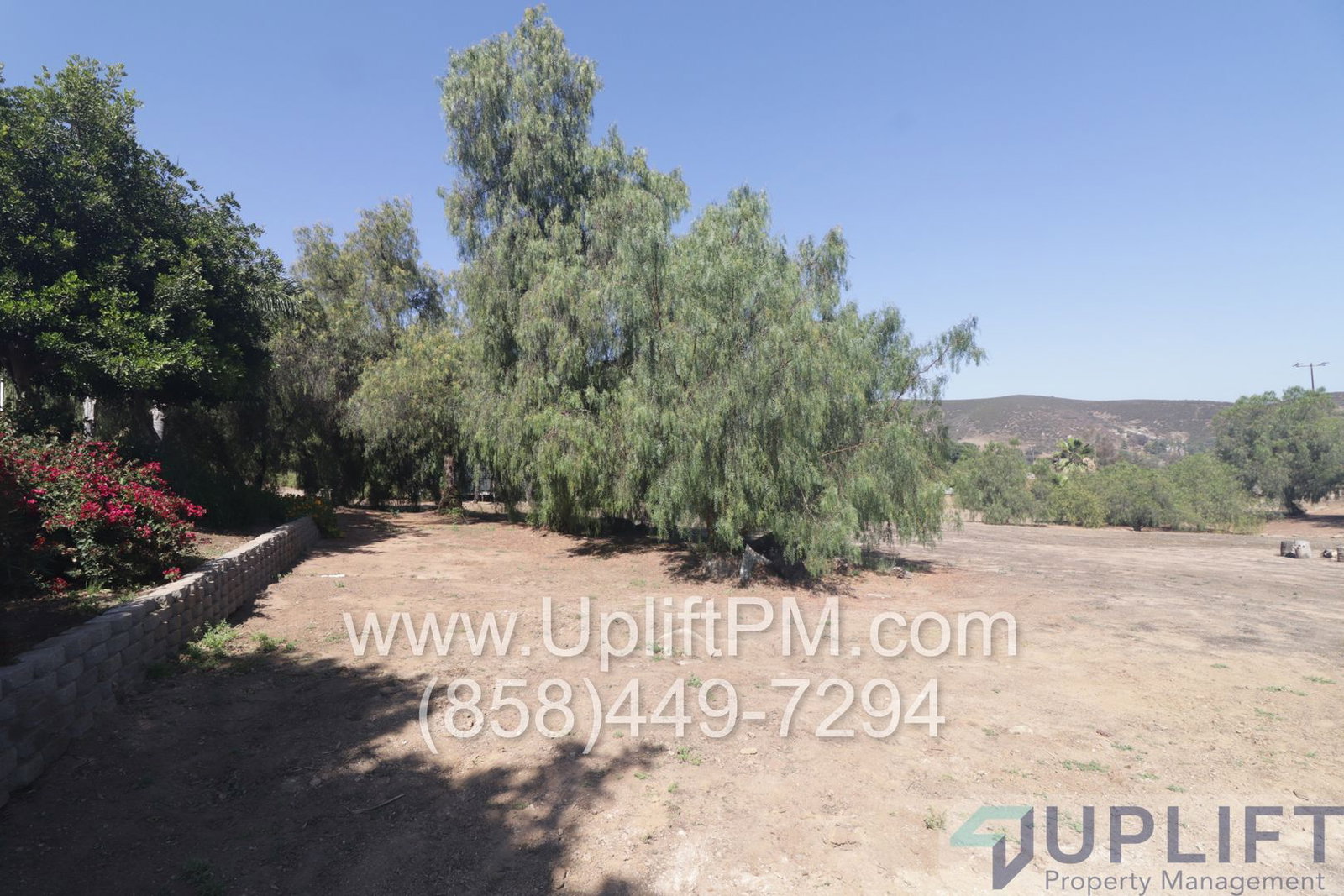 Gallery Image 14
