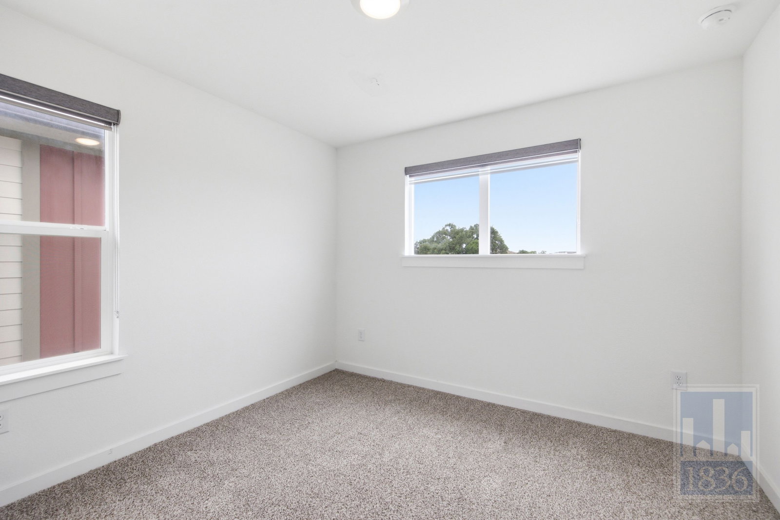 Gallery Image 50