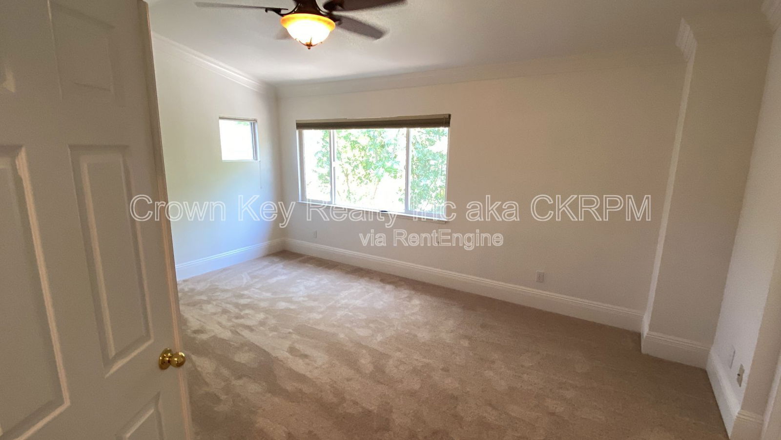 Gallery Image 19