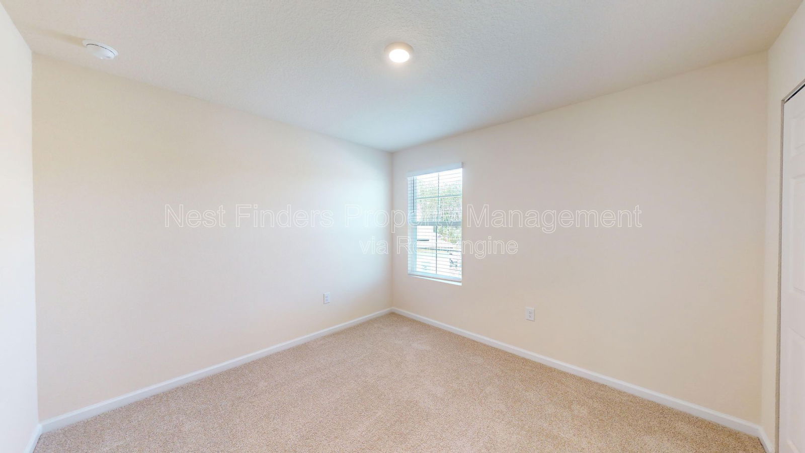 Gallery Image 19