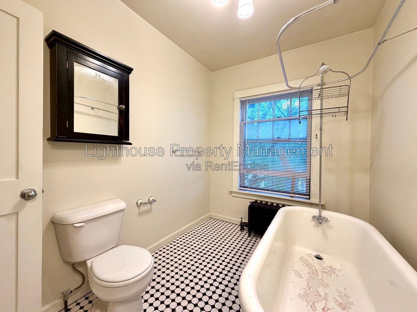 Gallery Image 17