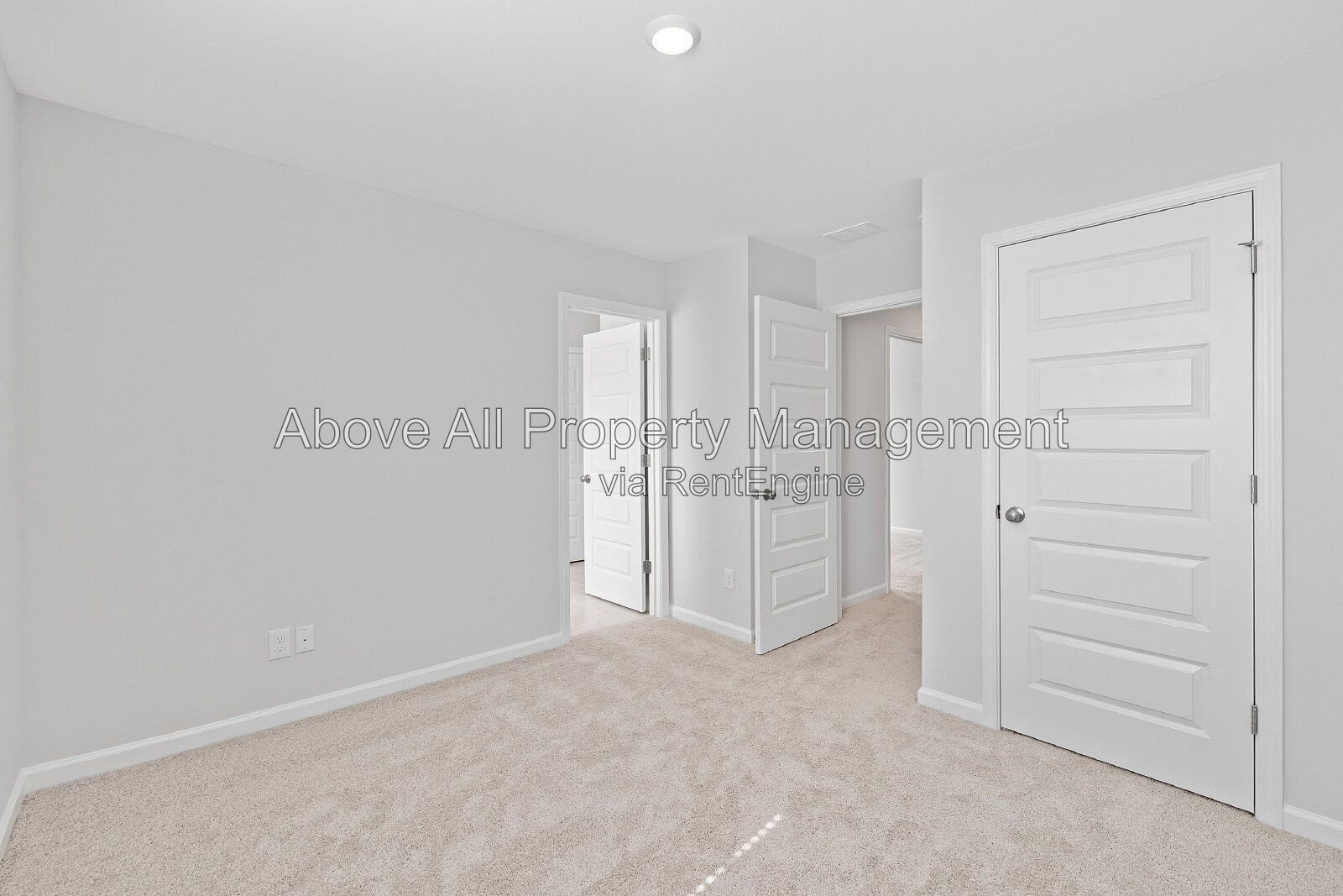 Gallery Image 41
