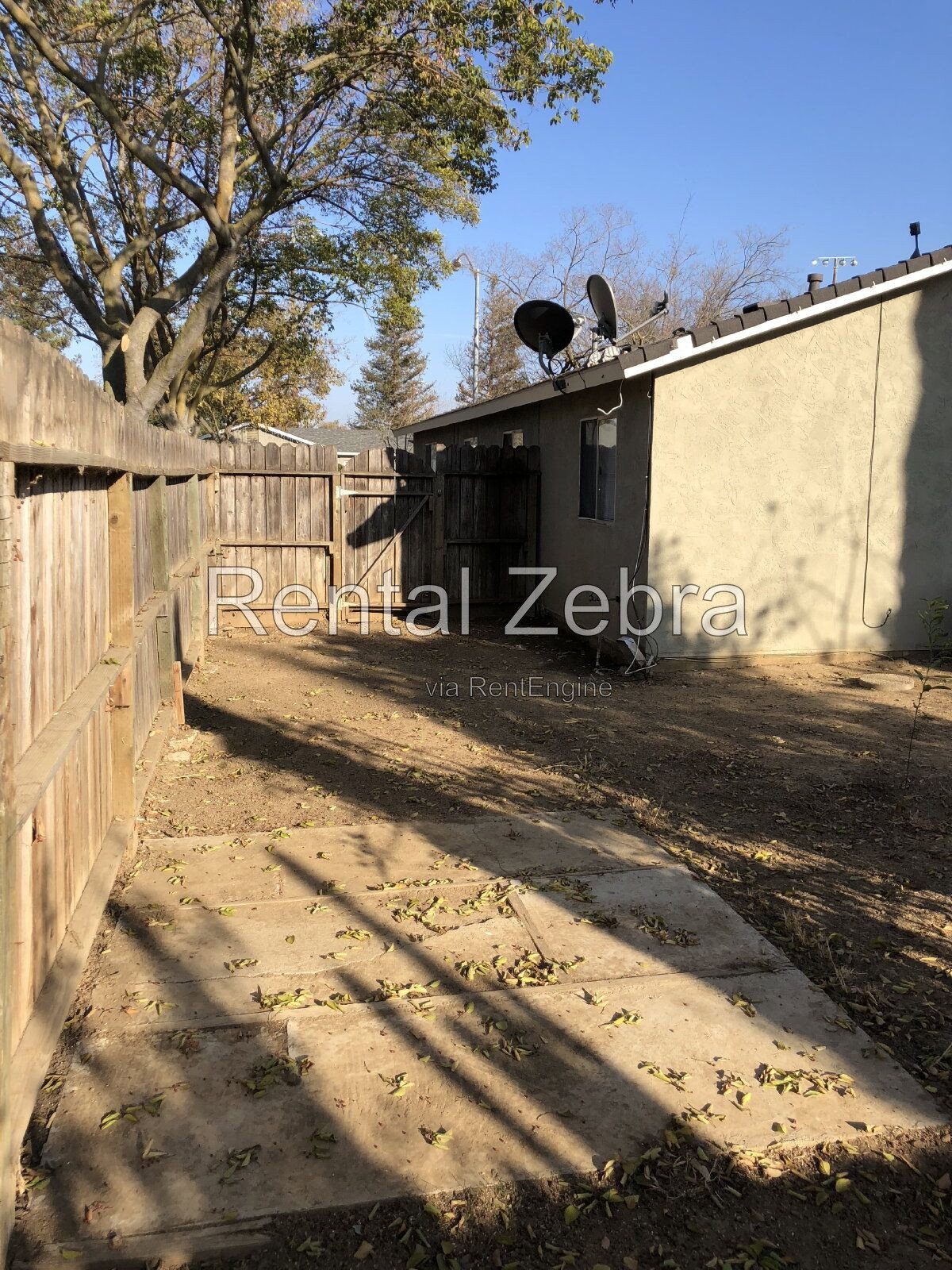 Gallery Image 25