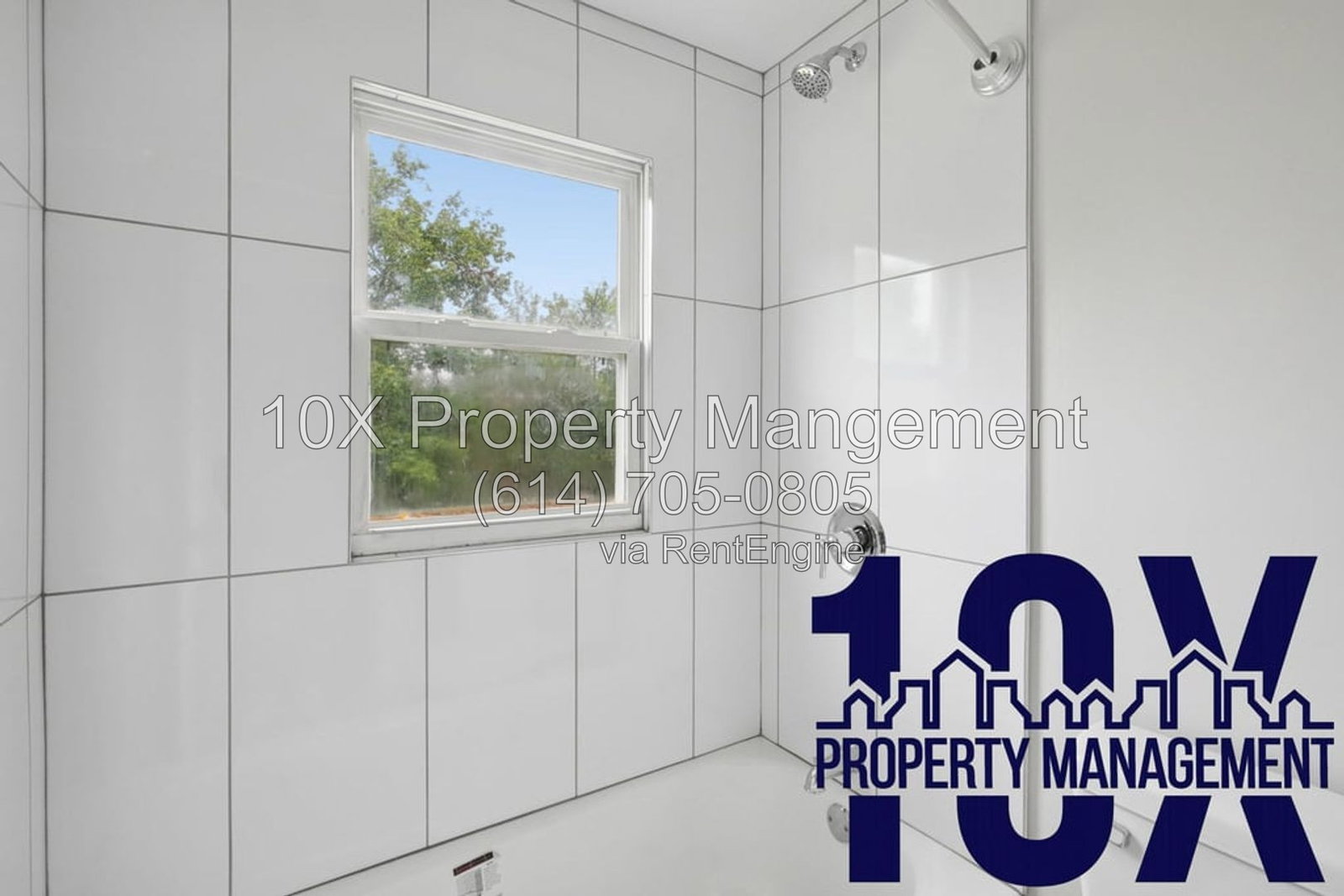 Gallery Image 10