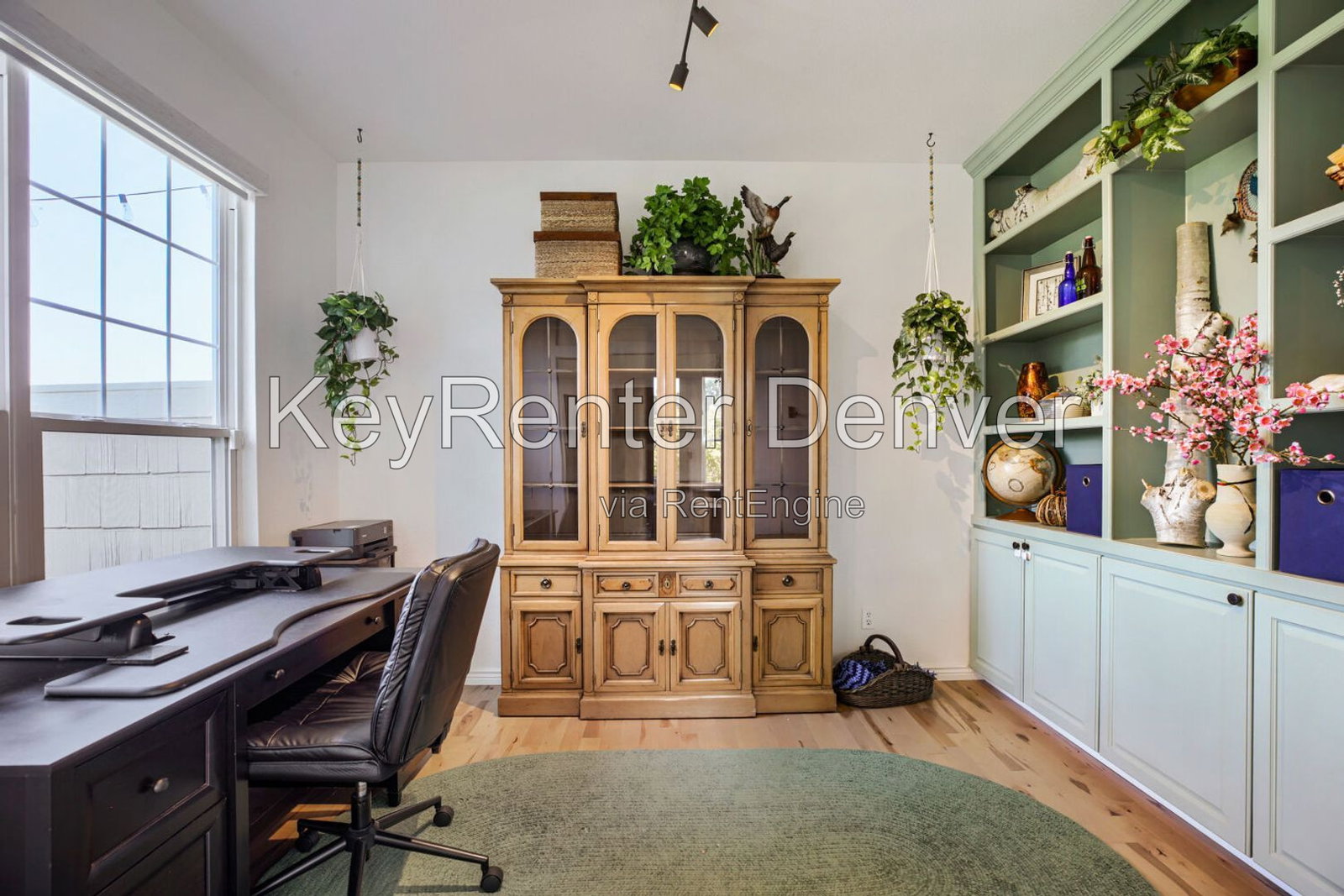 Gallery Image 11