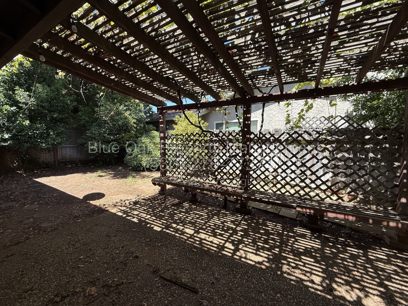 Gallery Image 11