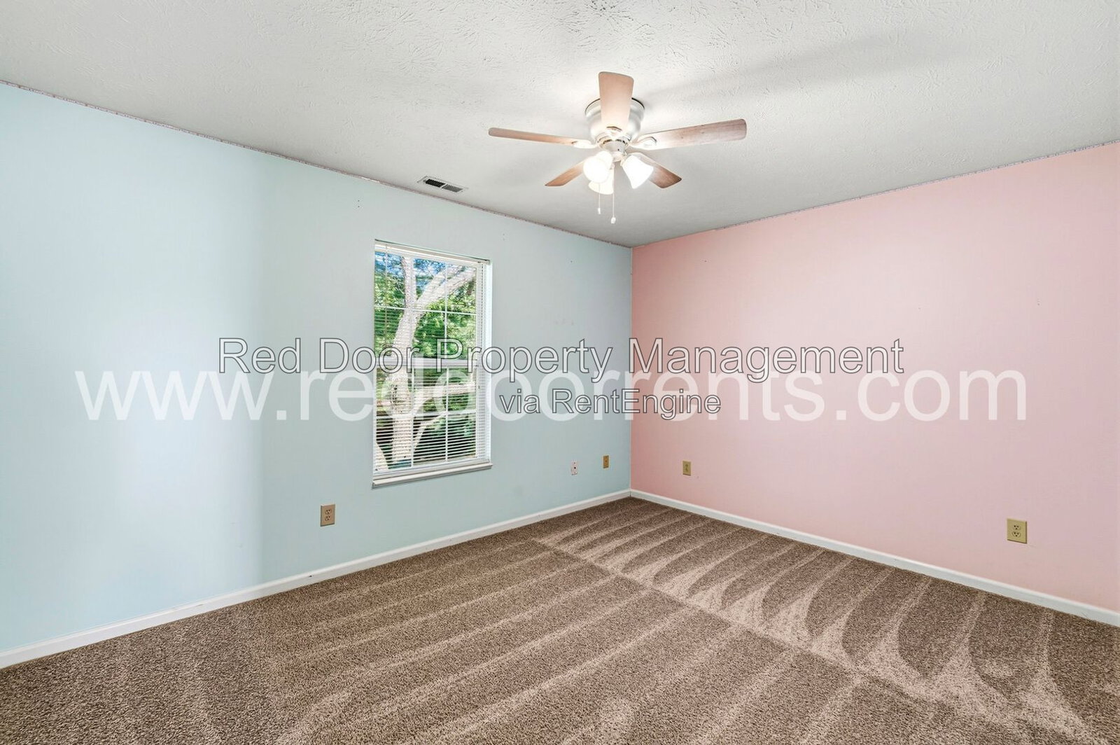 Gallery Image 25