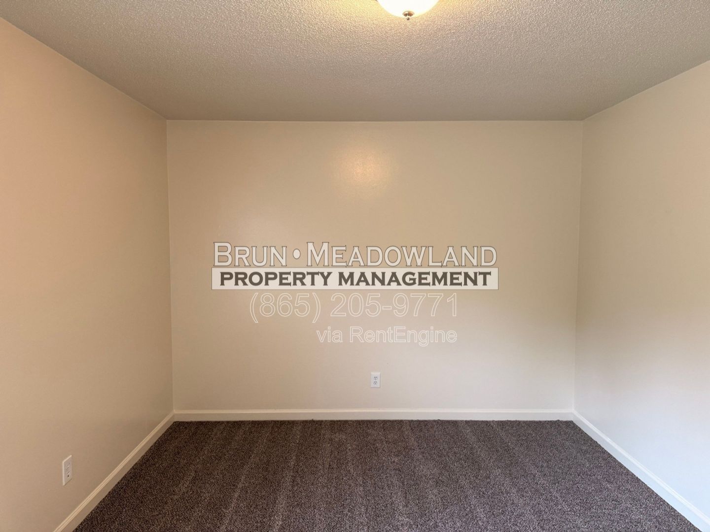 Gallery Image 19