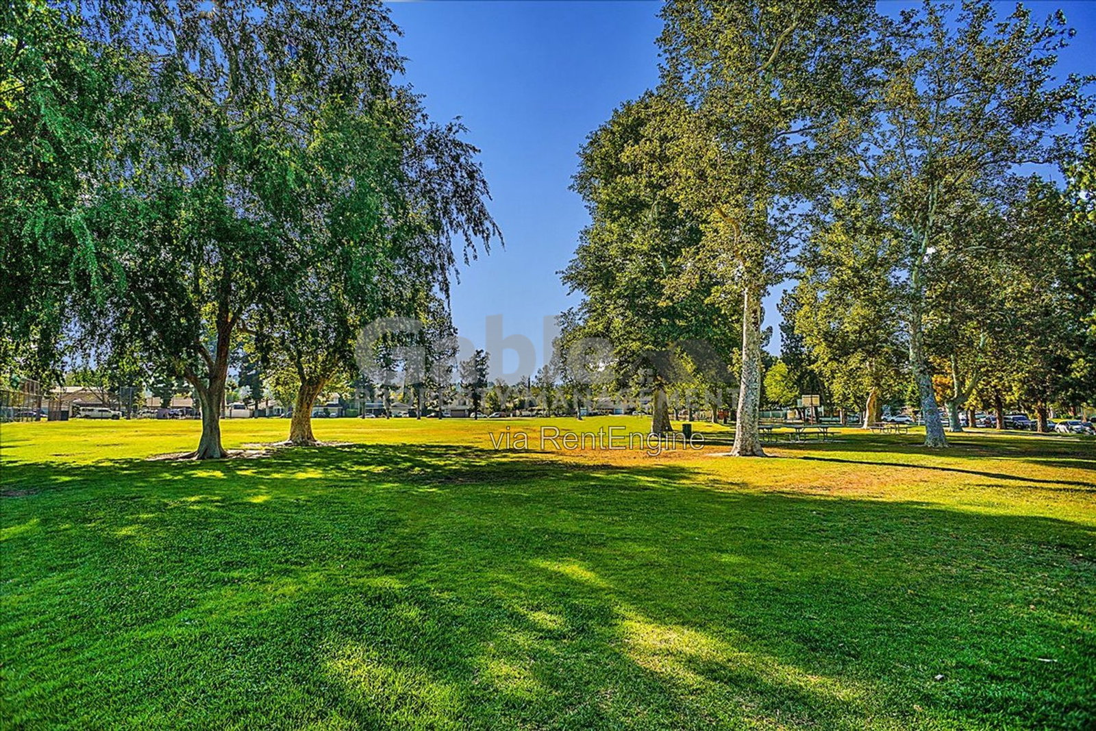 Gallery Image 19