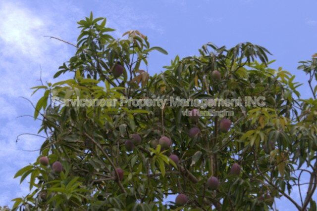 Gallery Image 36