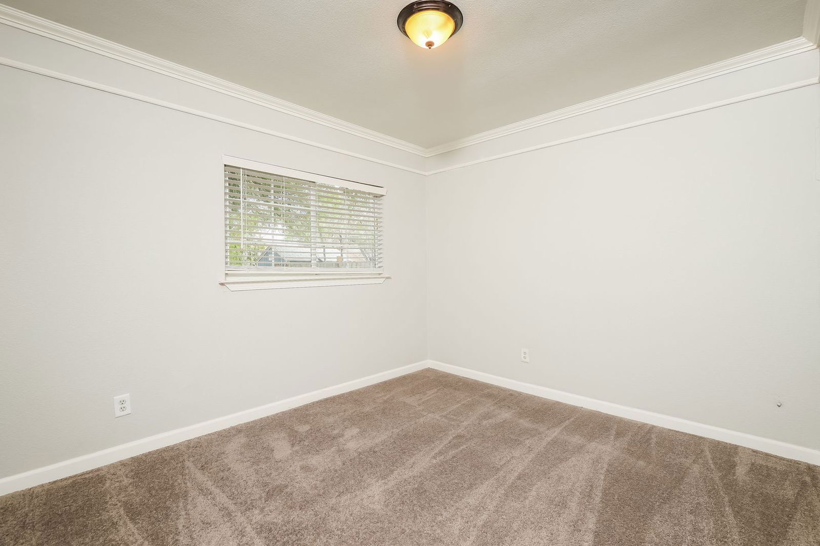 Gallery Image 20