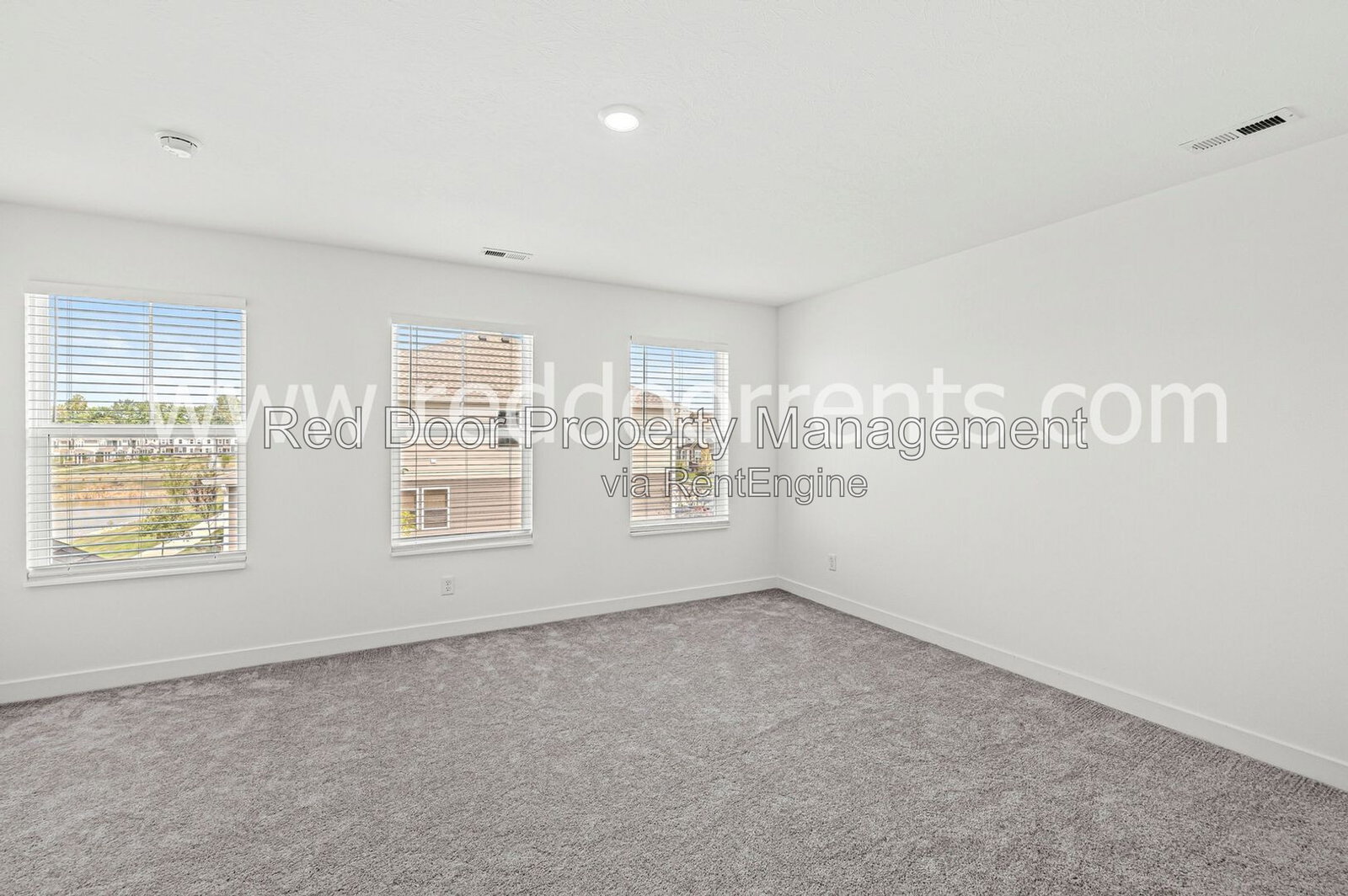 Gallery Image 19