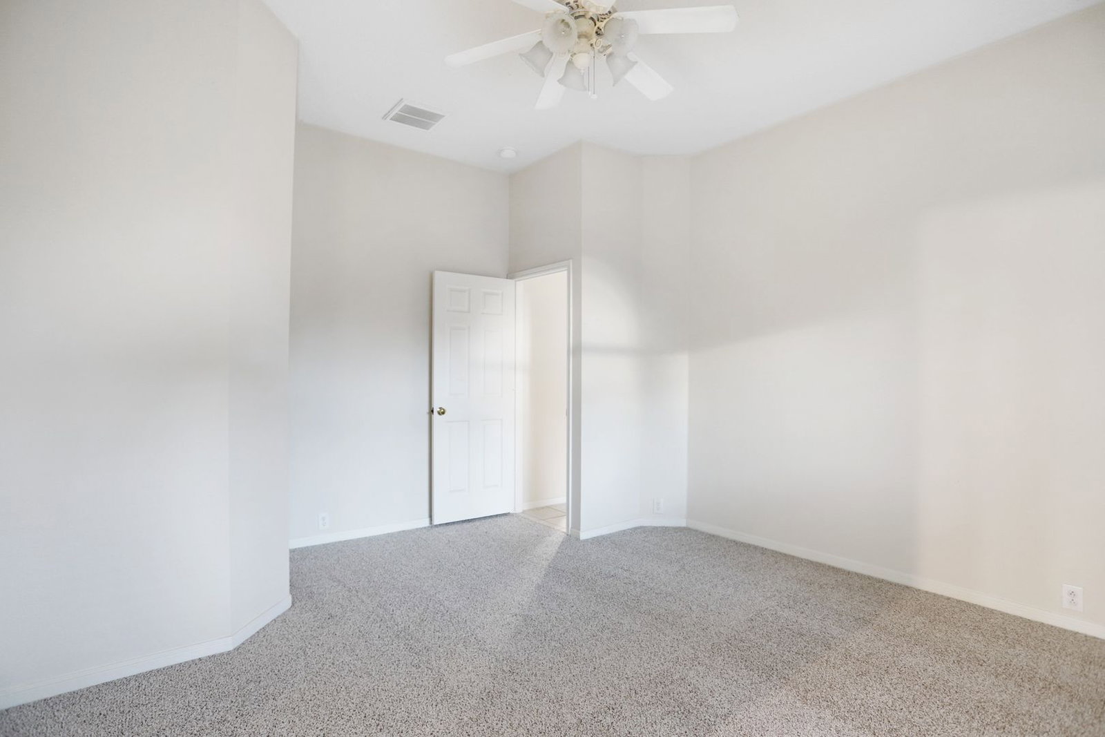 Gallery Image 18