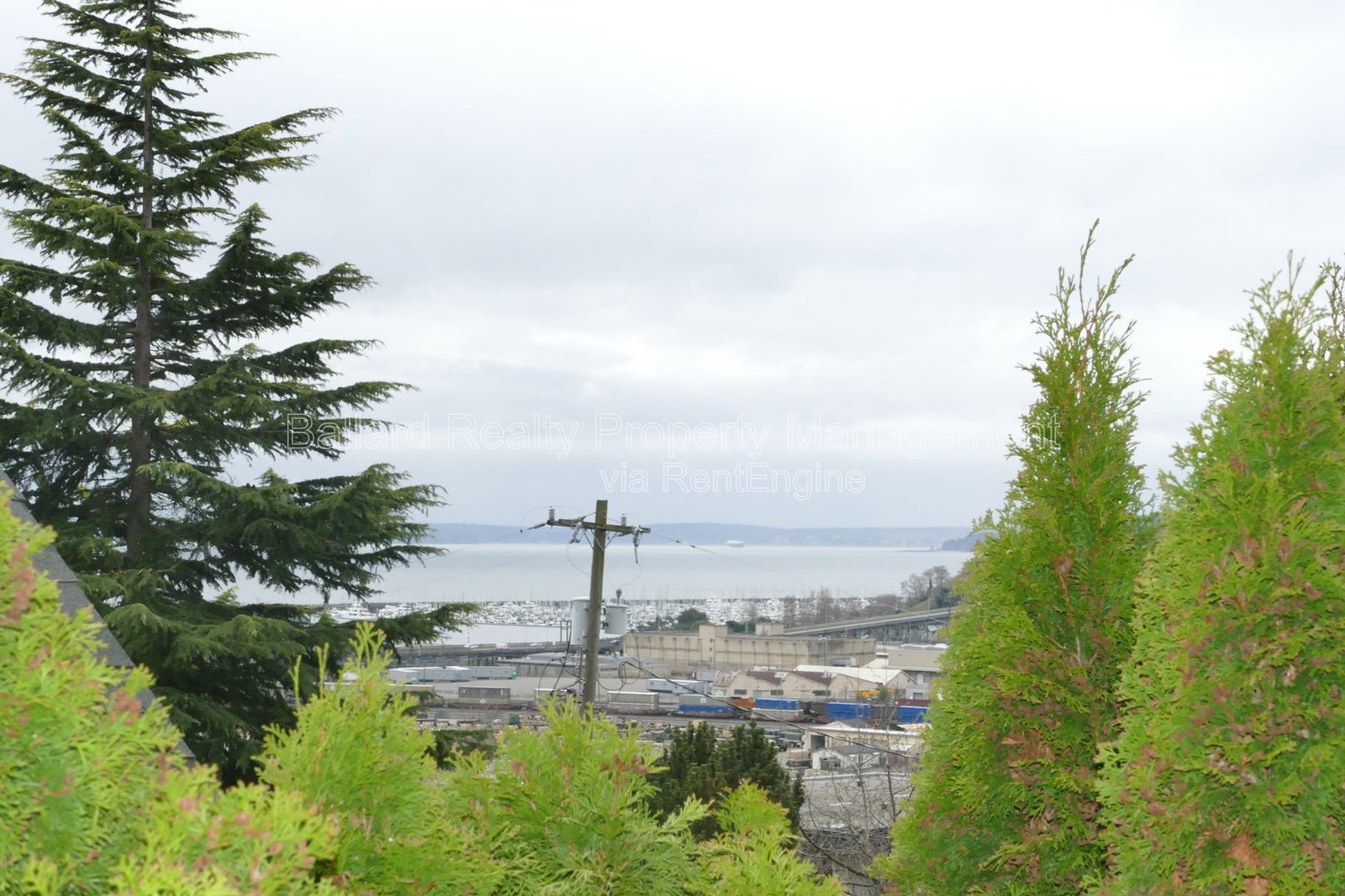 Gallery Image 17