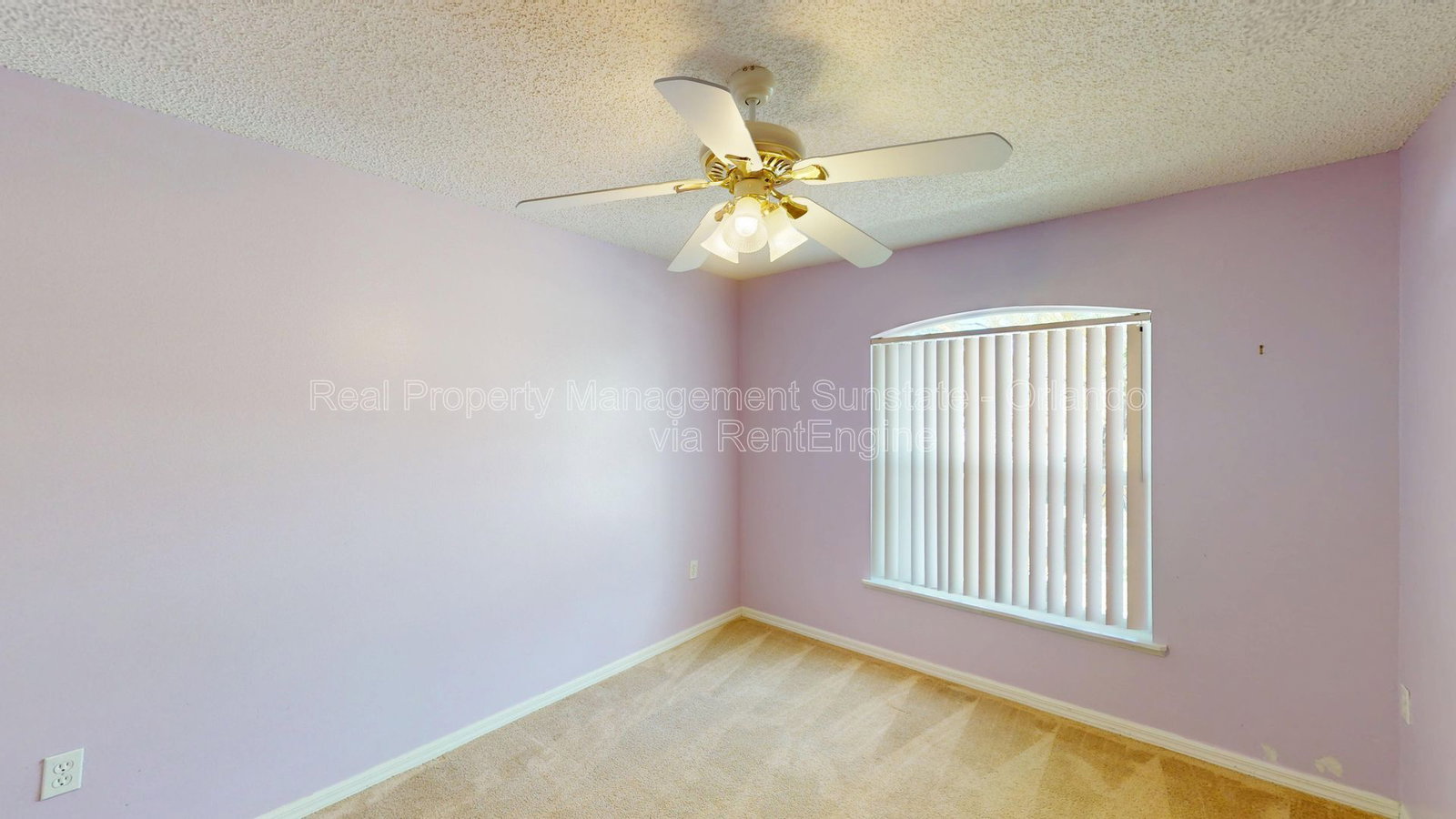 Gallery Image 19